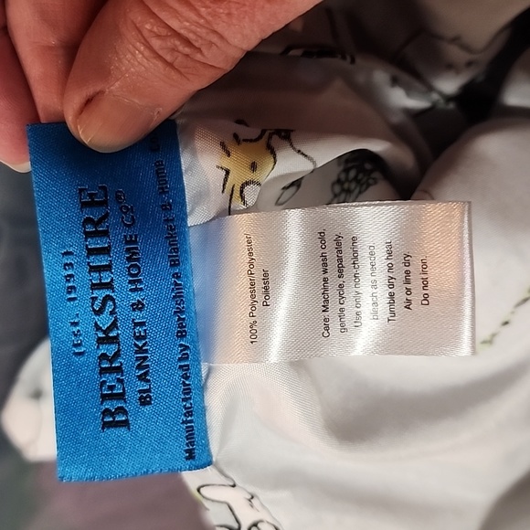 Peanuts Bedding Queen Sheets Snoopy And Woodstock Poshmark